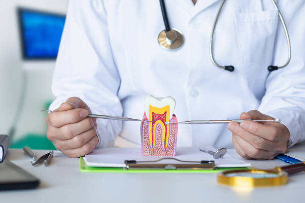 Best Emergency Tooth Extraction  in Oak Valley, NJ